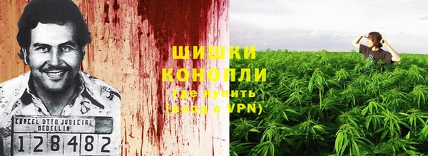 молекула духа Балахна