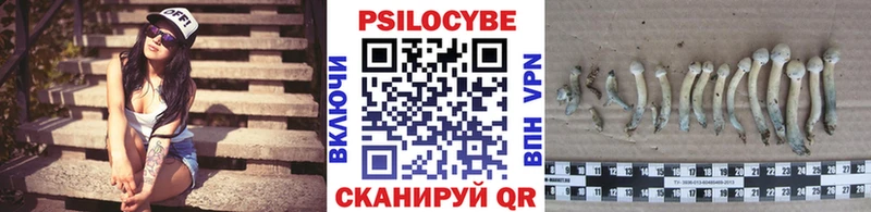 Галлюциногенные грибы Magic Shrooms  это Telegram  Суровикино 